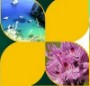 VACANZE ad Agropoli e nel Cilento
